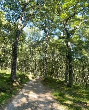 Casavieja Rural Nyaraló
