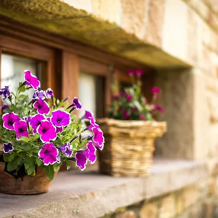 Casa de Férias Casavieja Rural Abiada