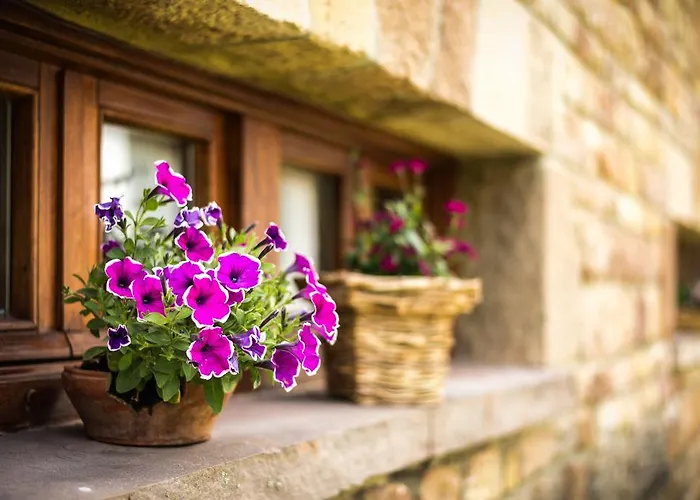 度假居 Casavieja Rural Abiada